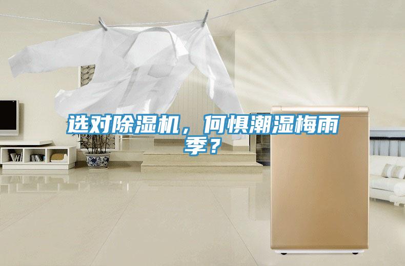 選對除濕機，何懼潮濕梅雨季？