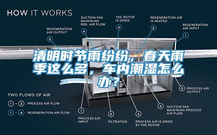 清明時節(jié)雨紛紛，春天雨季這么多，車內(nèi)潮濕怎么辦？