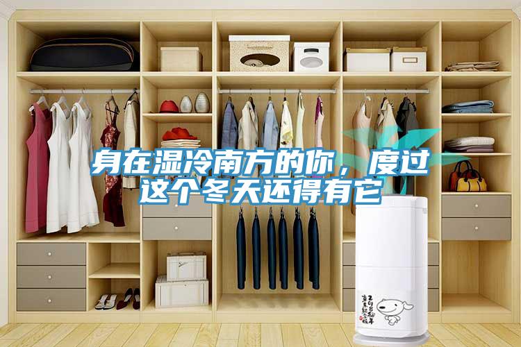 身在濕冷南方的你，度過(guò)這個(gè)冬天還得有它