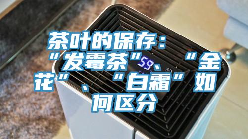 茶葉的保存：“發(fā)霉茶”、“金花”、“白霜”如何區(qū)分