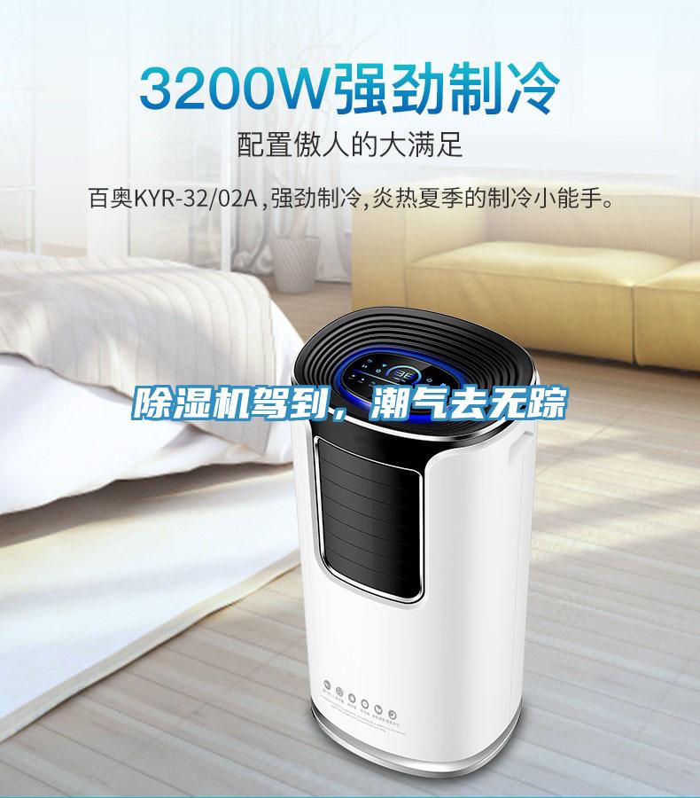 除濕機(jī)駕到，潮氣去無蹤