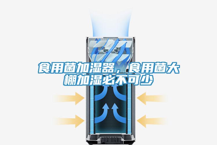 食用菌加濕器，食用菌大棚加濕必不可少