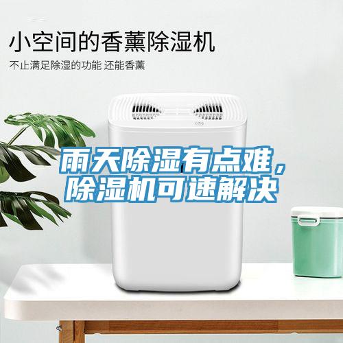 雨天除濕有點難，除濕機可速解決