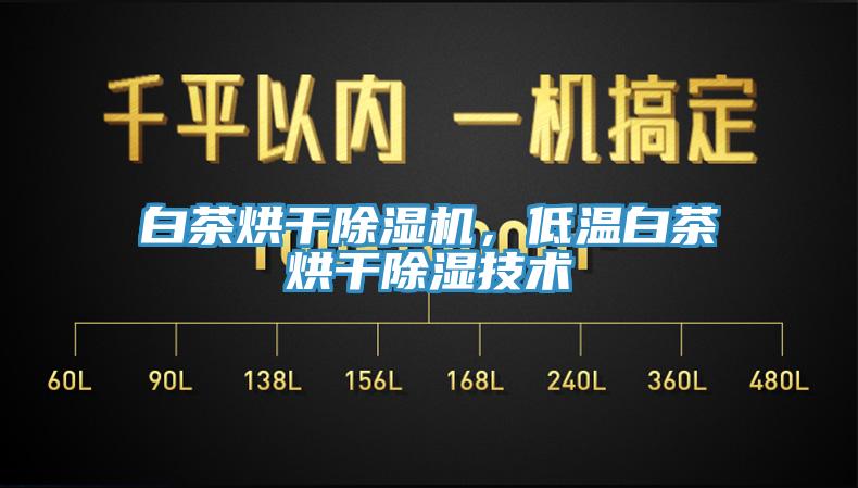 白茶烘干除濕機，低溫白茶烘干除濕技術(shù)