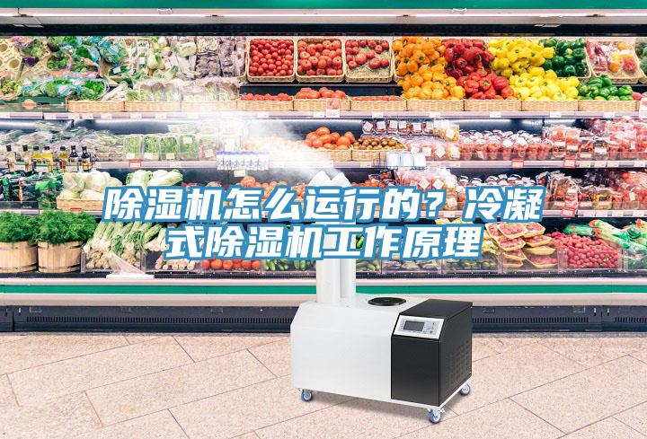 除濕機怎么運行的？冷凝式除濕機工作原理