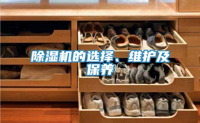 除濕機(jī)的選擇、維護(hù)及保養(yǎng)