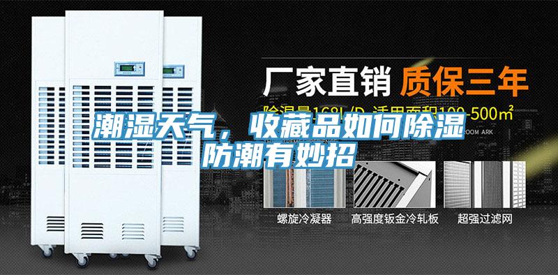 潮濕天氣，收藏品如何除濕防潮有妙招