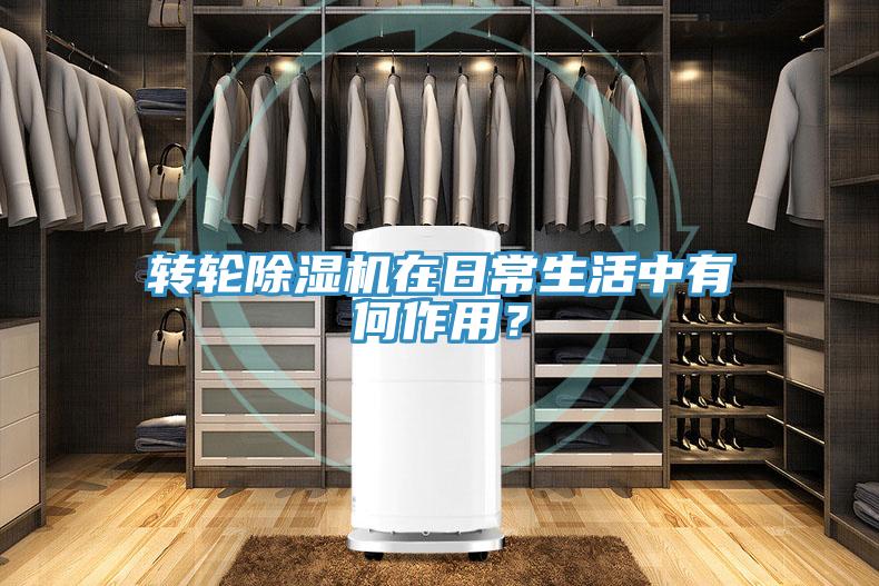 轉(zhuǎn)輪除濕機(jī)在日常生活中有何作用？
