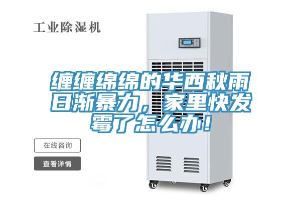 纏纏綿綿的華西秋雨日漸暴力，家里快發(fā)霉了怎么辦！