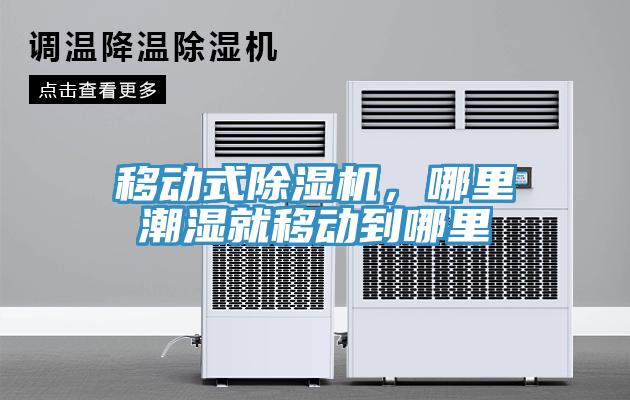 移動(dòng)式除濕機(jī)，哪里潮濕就移動(dòng)到哪里