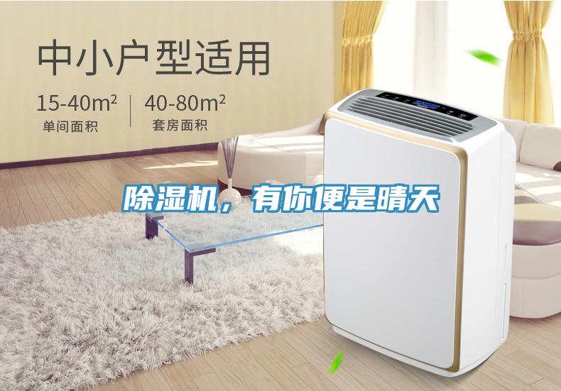 除濕機(jī)，有你便是晴天