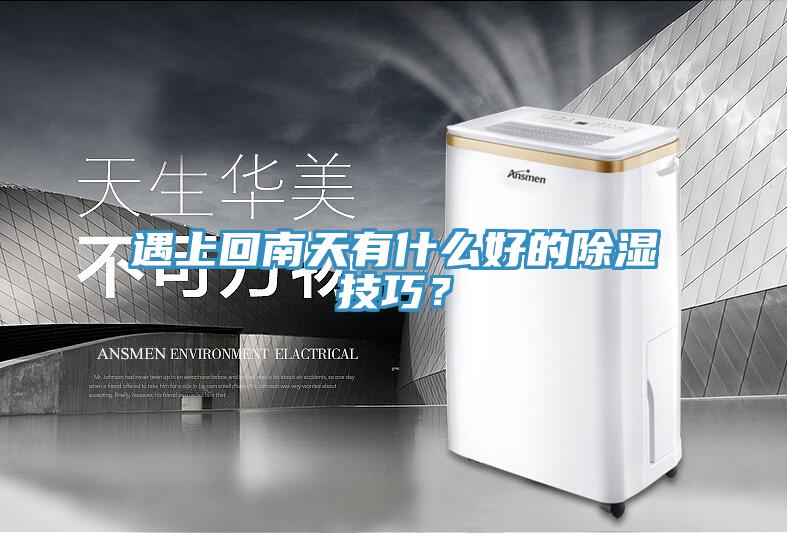 遇上回南天有什么好的除濕技巧？