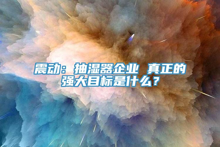 震動(dòng)：抽濕器企業(yè) 真正的強(qiáng)大目標(biāo)是什么？