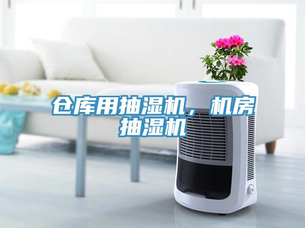 倉(cāng)庫(kù)用抽濕機(jī)，機(jī)房抽濕機(jī)