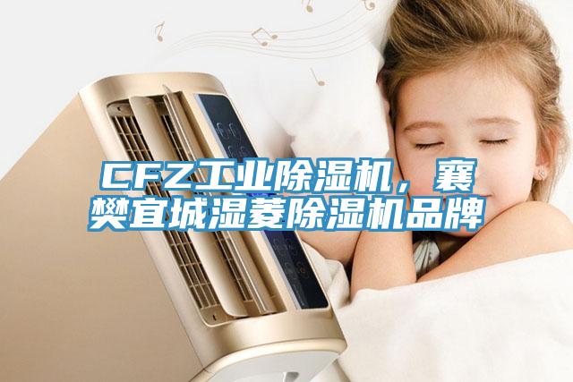 CFZ工業(yè)除濕機(jī)，襄樊宜城濕菱除濕機(jī)品牌