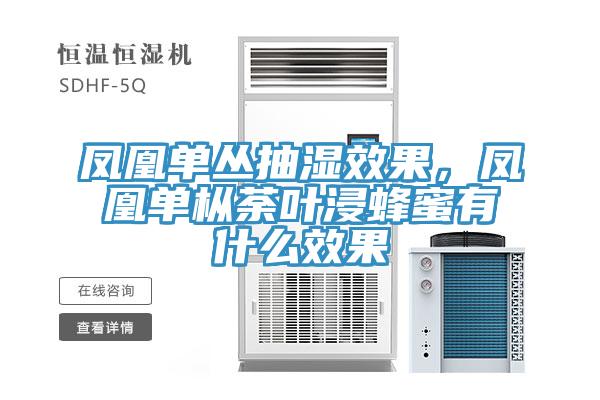 鳳凰單叢抽濕效果，鳳凰單樅荼葉浸蜂蜜有什么效果