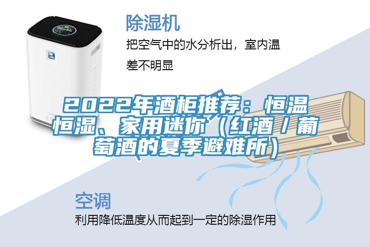 2022年酒柜推薦：恒溫恒濕、家用迷你（紅酒／葡萄酒的夏季避難所）