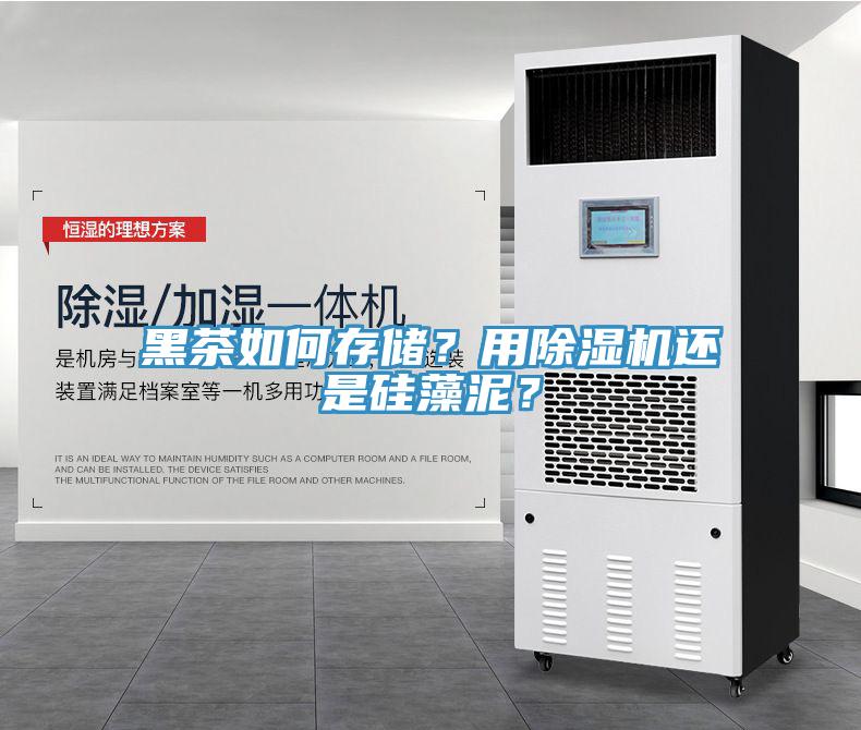 黑茶如何存儲？用除濕機還是硅藻泥？