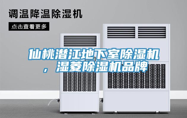 仙桃潛江地下室除濕機(jī)，濕菱除濕機(jī)品牌