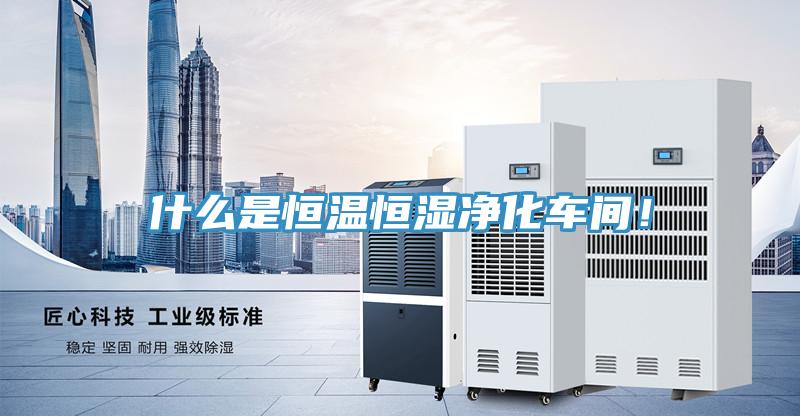 什么是恒溫恒濕凈化車(chē)間！