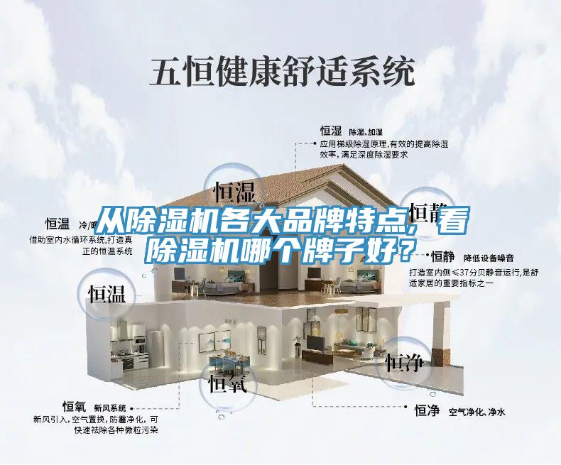從除濕機(jī)各大品牌特點(diǎn), 看除濕機(jī)哪個(gè)牌子好？