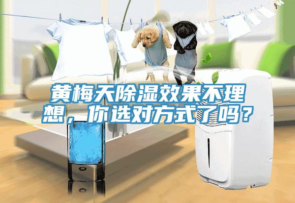 黃梅天除濕效果不理想，你選對方式了嗎？
