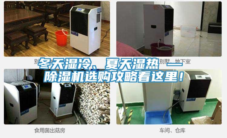 冬天濕冷、夏天濕熱 — 除濕機選購攻略看這里！