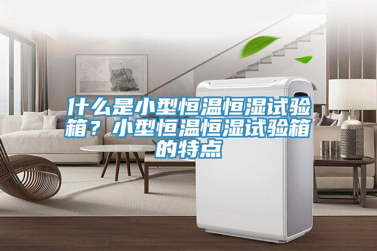 什么是小型恒溫恒濕試驗(yàn)箱？小型恒溫恒濕試驗(yàn)箱的特點(diǎn)