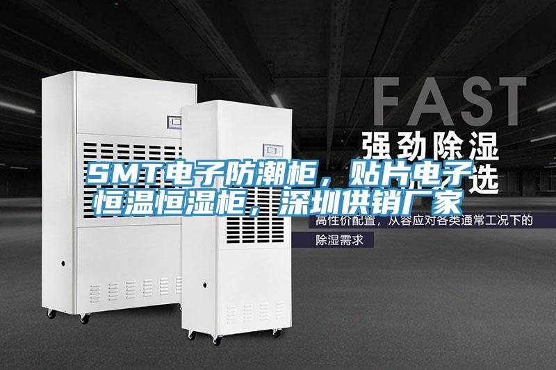 SMT電子防潮柜，貼片電子恒溫恒濕柜，深圳供銷廠家