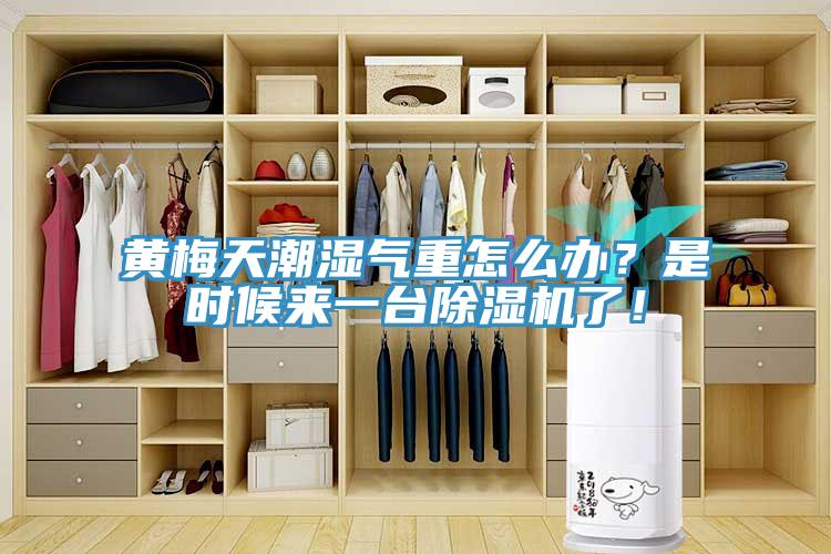 黃梅天潮濕氣重怎么辦？是時候來一臺除濕機了！