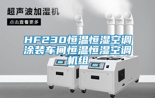 HF230恒溫恒濕空調(diào)涂裝車間恒溫恒濕空調(diào)機(jī)組