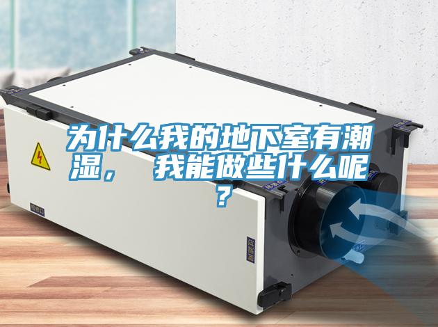 為什么我的地下室有潮濕， 我能做些什么呢？