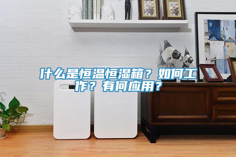 什么是恒溫恒濕箱？如何工作？有何應(yīng)用？