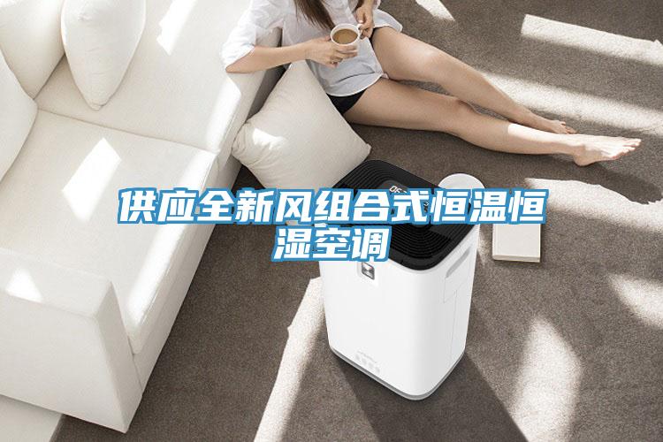 供應(yīng)全新風組合式恒溫恒濕空調(diào)