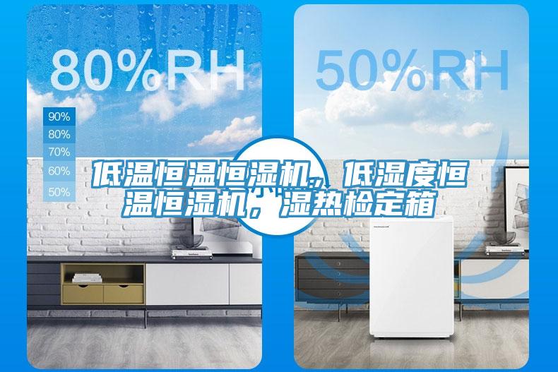 低溫恒溫恒濕機，低濕度恒溫恒濕機，濕熱檢定箱