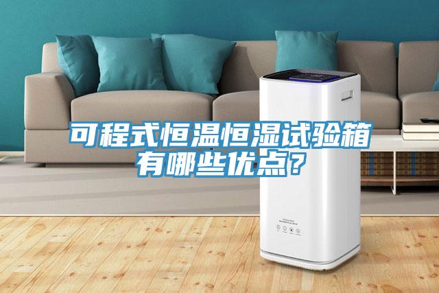可程式恒溫恒濕試驗(yàn)箱有哪些優(yōu)點(diǎn)？