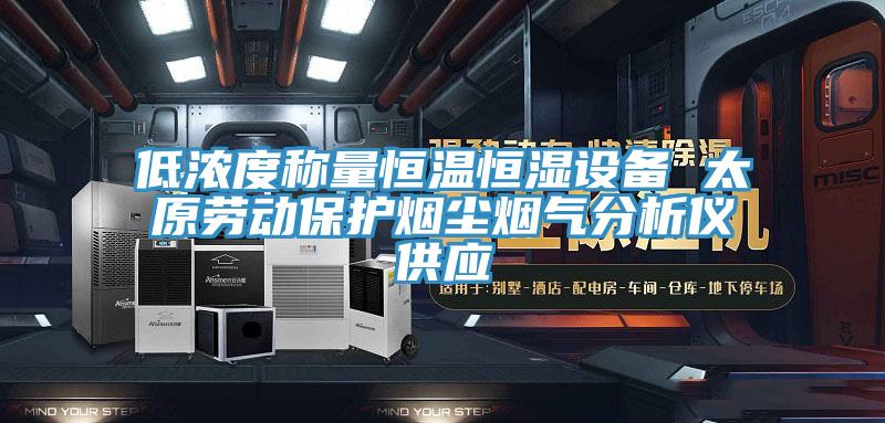 低濃度稱量恒溫恒濕設(shè)備 太原勞動保護煙塵煙氣分析儀供應(yīng)