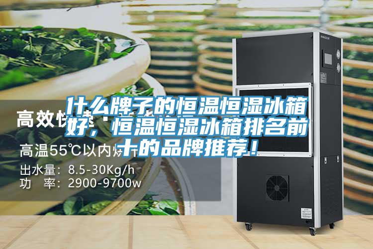 什么牌子的恒溫恒濕冰箱好，恒溫恒濕冰箱排名前十的品牌推薦！