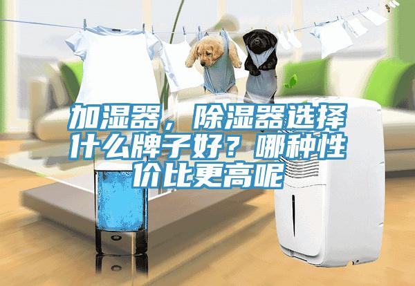 加濕器，除濕器選擇什么牌子好？哪種性價(jià)比更高呢