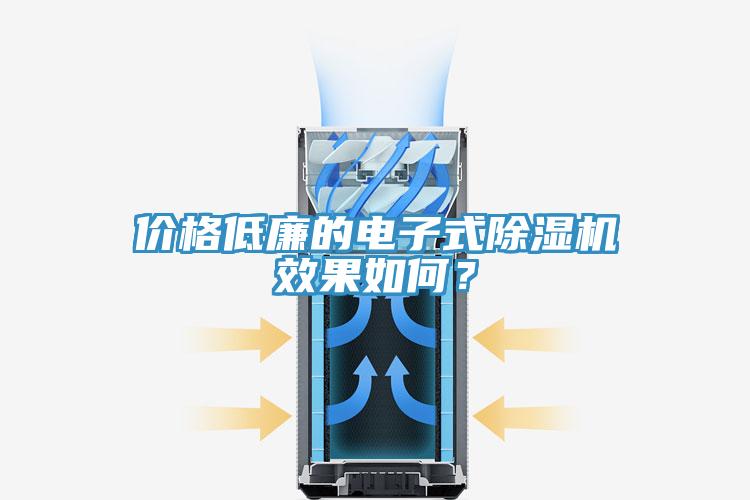 價格低廉的電子式除濕機(jī)效果如何？