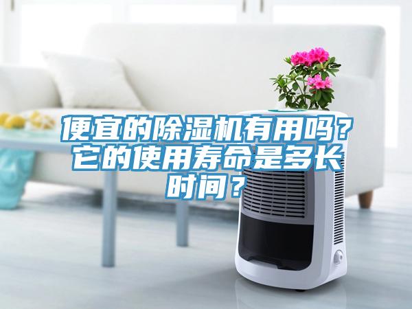 便宜的除濕機(jī)有用嗎？它的使用壽命是多長(zhǎng)時(shí)間？