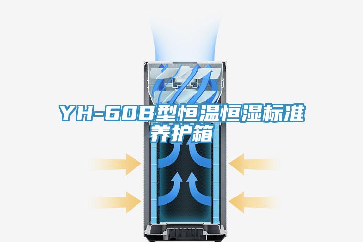 YH-60B型恒溫恒濕標(biāo)準(zhǔn)養(yǎng)護箱