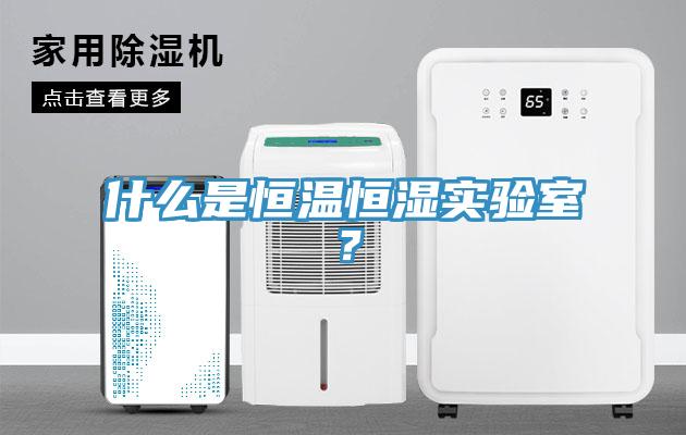 什么是恒溫恒濕實(shí)驗(yàn)室？