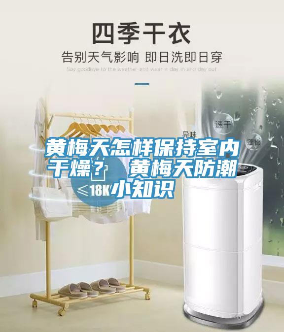 黃梅天怎樣保持室內(nèi)干燥？ 黃梅天防潮小知識