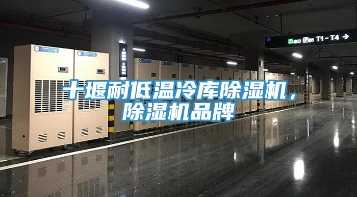十堰耐低溫冷庫除濕機(jī)，除濕機(jī)品牌