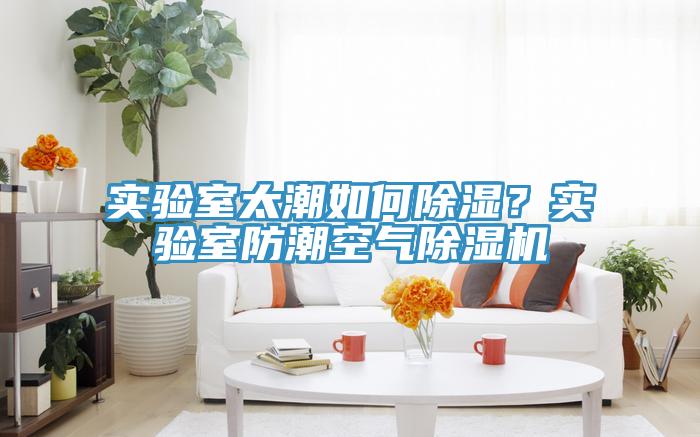 實驗室太潮如何除濕？實驗室防潮空氣除濕機
