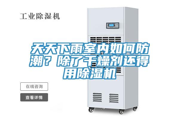 天天下雨室內(nèi)如何防潮？除了干燥劑還得用除濕機(jī)