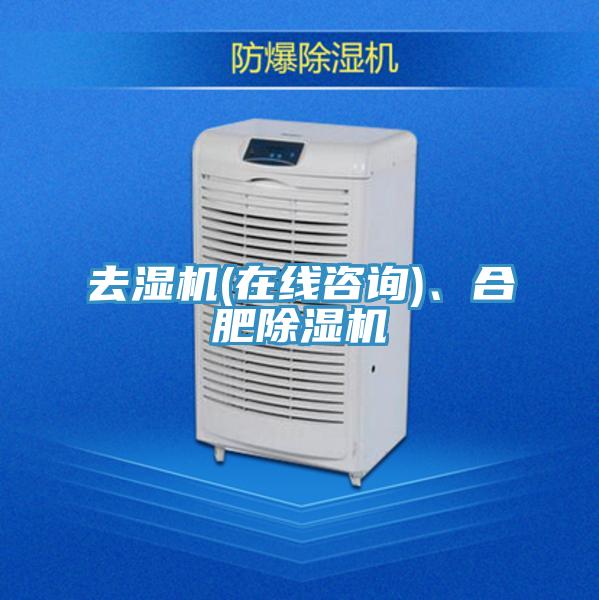 去濕機(jī)(在線咨詢)、合肥除濕機(jī)