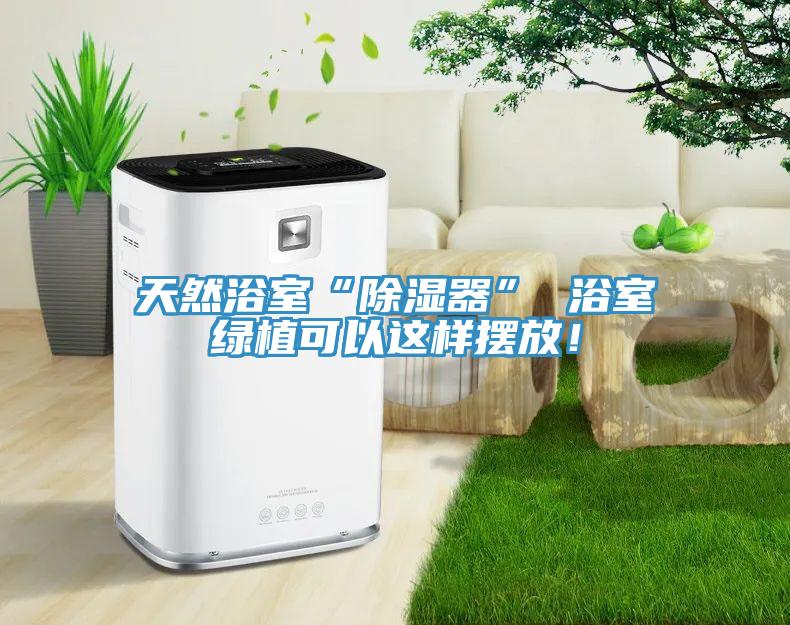 天然浴室“除濕器” 浴室綠植可以這樣擺放！