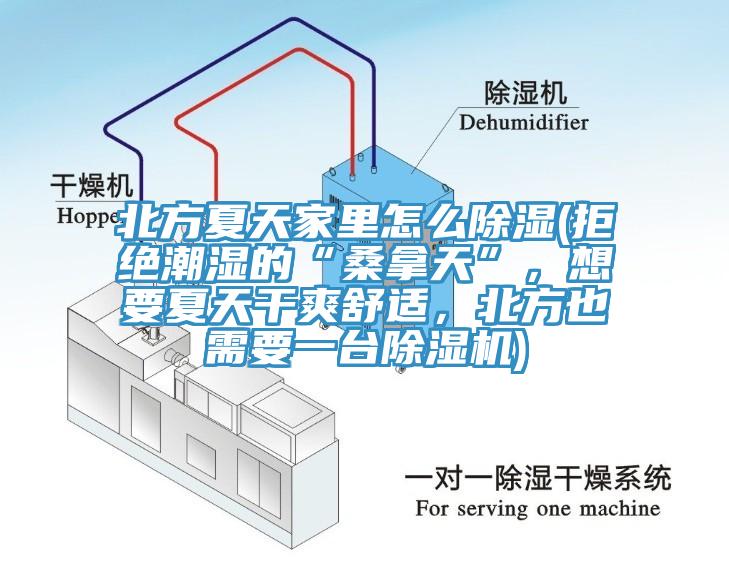 北方夏天家里怎么除濕(拒絕潮濕的“桑拿天”，想要夏天干爽舒適，北方也需要一臺(tái)除濕機(jī))